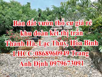 tin nhà đất